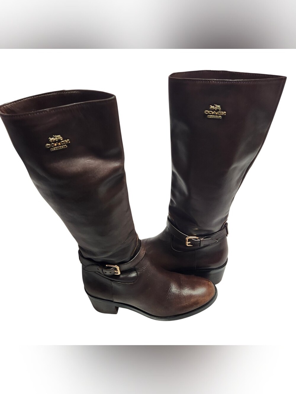 Coach Clover Dark Brown Leather Over-the-Knee Riding Boots with Gold Accents
